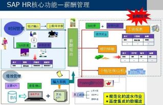 SAP HR 企業人力資源管理的數字化核心